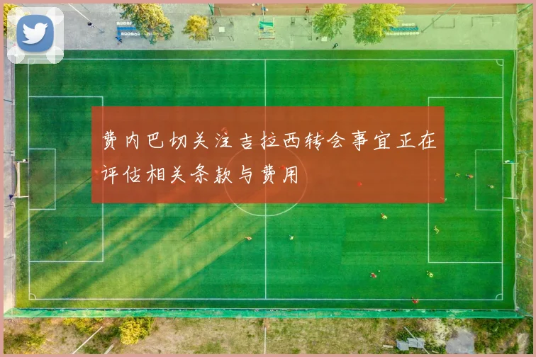 费内巴切关注吉拉西转会事宜正在评估相关条款与费用