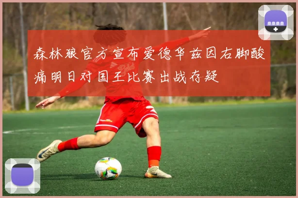 森林狼官方宣布爱德华兹因右脚酸痛明日对国王比赛出战存疑