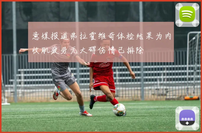 意媒报道弗拉霍维奇体检结果为内收肌疲劳无大碍伤情已排除