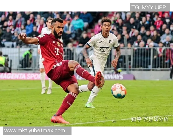 多特蒙德关注霍芬海姆前锋阿斯拉尼拜仁并不将其列为首要引援目标